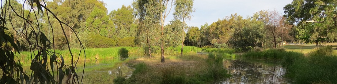 Mullum Wetlands