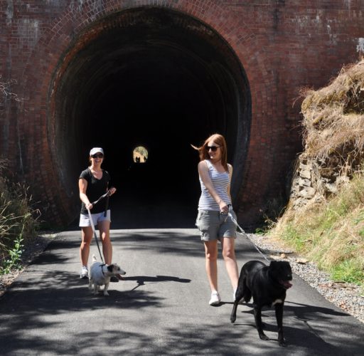 GVRT Dog walkers Cheviot Tunnel GVRT Dog walkers Cheviot Tunnel