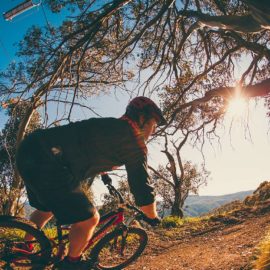 MTB Bike Buller Mountain Bike Ride High Country