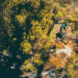MTB Bike Buller Mountain Bike Ride High Country
