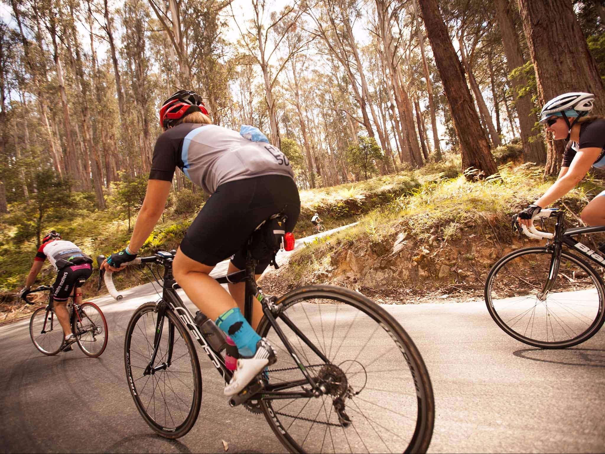7 Peaks Ride - Mt Buller