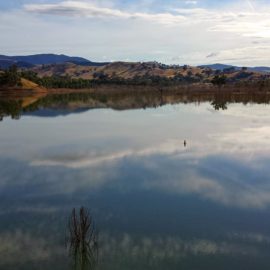 Lake Eildon