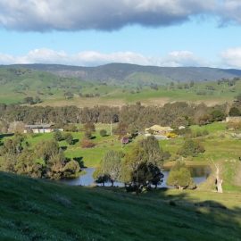 cheviot Glen cottages